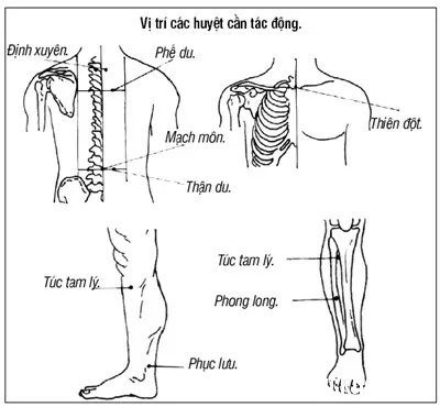 Đông y chữa hen suyễn