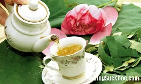 Các bài thuốc hay trị cảm mạo