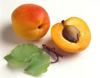 Bài thuốc chữa bệnh từ quả mơ