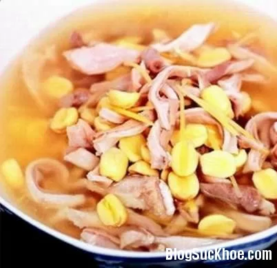Món ăn chữa bệnh sa dạ dày