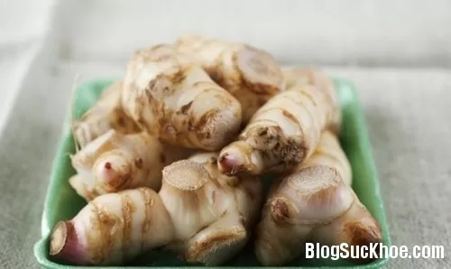 Củ riềng chữa hắc lào, sốt rét, phong thấp