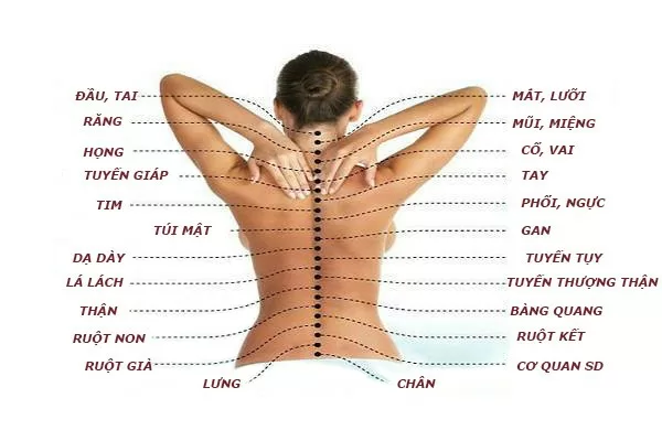 Trước khi chữa bệnh, phải để ý phần cột sống trước