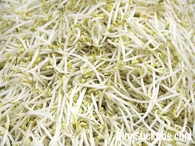 Điều cần biết khi ăn giá đỗ để không gây hại cho sức khỏe