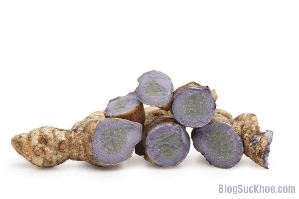 Nghệ đen chữa bách bệnh
