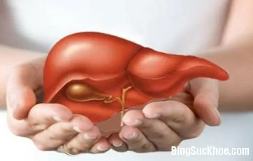 Những điều cần biết về bệnh viêm gan A