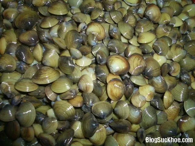 Món ăn, bài thuốc từ hến