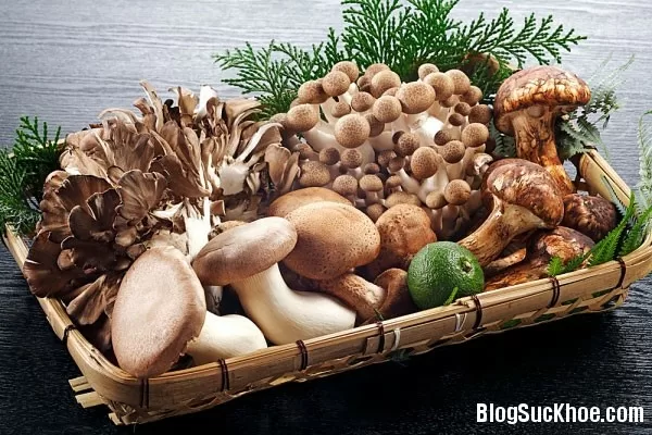 Những loại nấm nên và không nên ăn