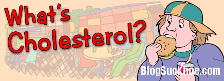 Cholesterol là gì?