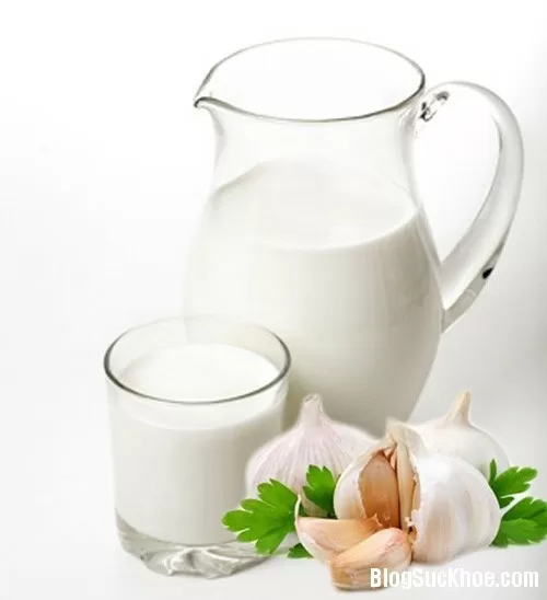 Sữa tỏi chữa cúm và trị mụn