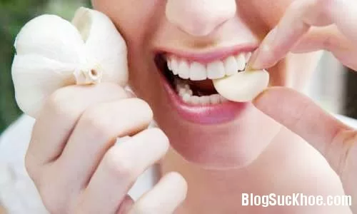 Mỗi ngày 1 tép tỏi sẽ thọ trên trăm tuổi