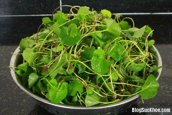 Những điều phải biết khi dùng rau má