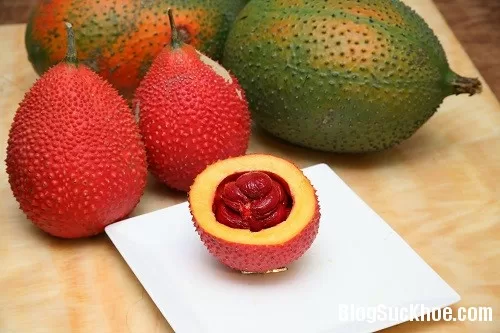 Gấc - "trái cây từ thiên đường"