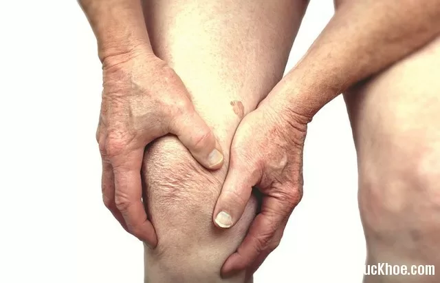 Bài thuốc giúp giảm đua nhức khớp