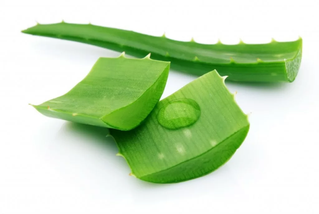 Da trắng hồng, mịn màng sau 7 ngày nhờ nha đam