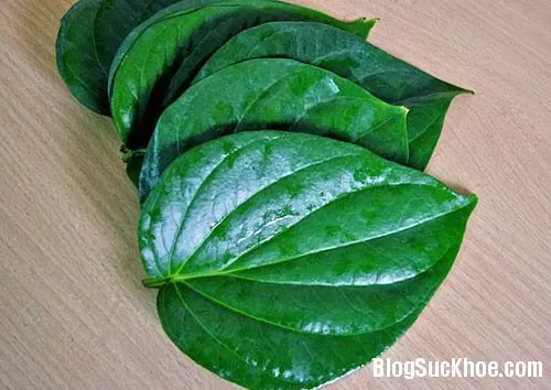 Phương pháp dân gian trị hôi nách an toàn