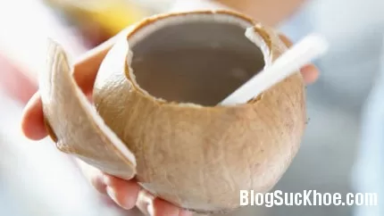 Mẹ bầu nên ăn dừa khi mang thai