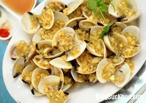 Những lợi ích vàng từ ngao