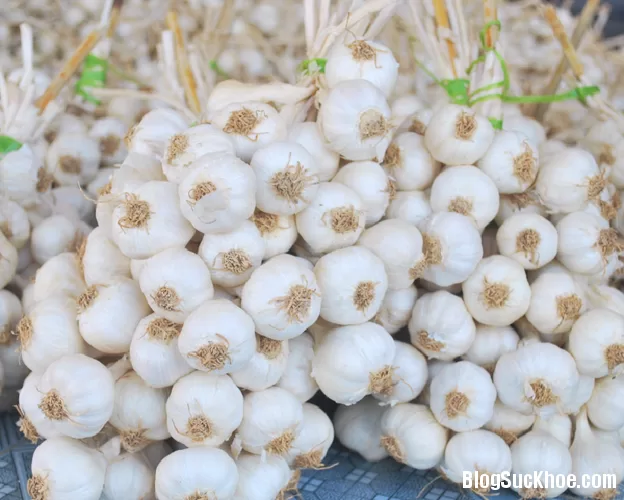 Dùng tỏi chữa đau dạ đày