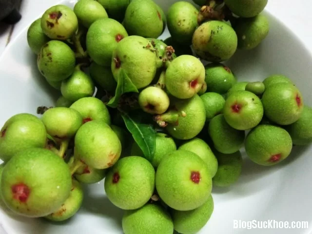 Quả sung chữa tất tần tật bệnh về dạ dày