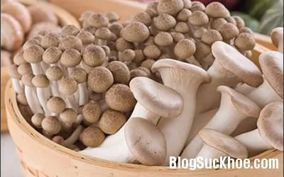 Nguy hại khôn lường từ nấm khi ăn lẩu