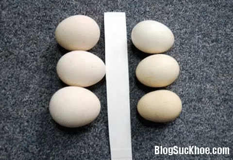 Cách phân biệt trứng gà ta với gà công nghiệp tẩy trắng