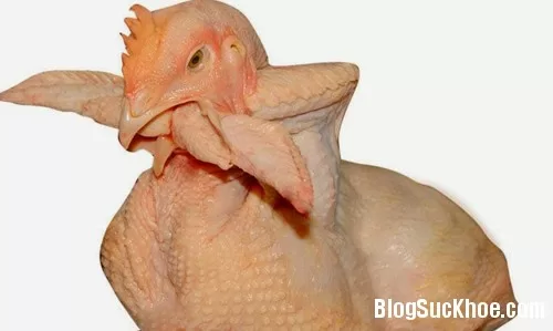 Cách ăn thịt gà gây hại cho sức khỏe