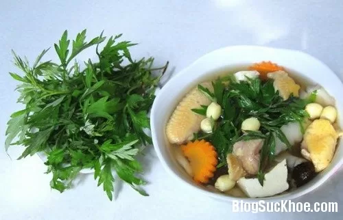Những tác hại từ ngải cứu mà ai cũng phải biết
