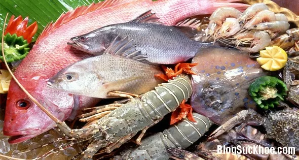 Những loại hải sản nào tốt cho bé?