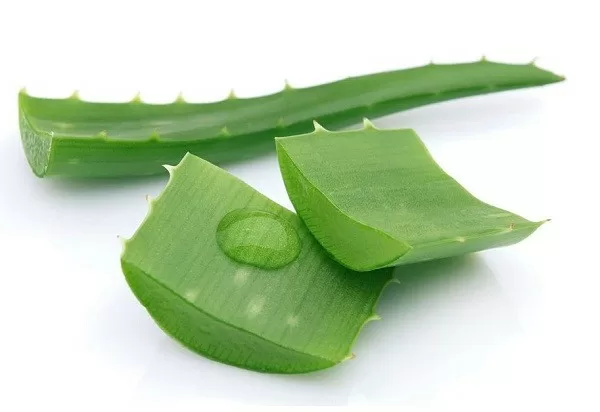 Công dụng làm sáng da trong 3 ngày của nha đam
