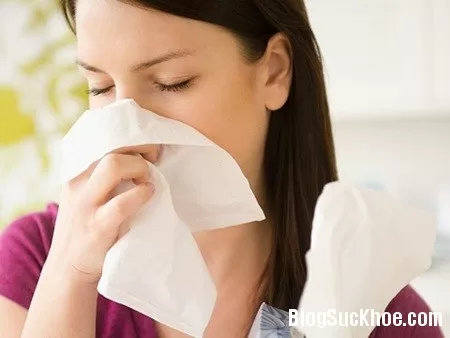 Hỗn hợp trị dứt viêm xoang, viêm mũi dị ứng