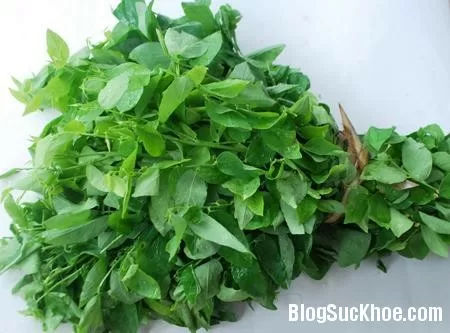 Dùng rau ngót không đúng cách sẽ "hóa" thuốc độc