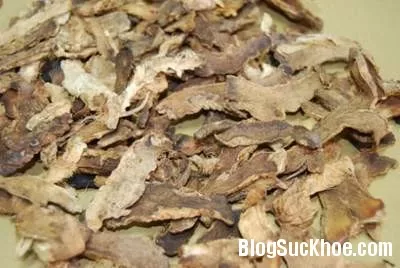 Trị bệnh không xuất tinh nhờ đông y