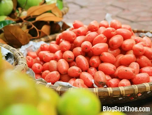 Quả nhót trị tiêu chảy, ho ra máu
