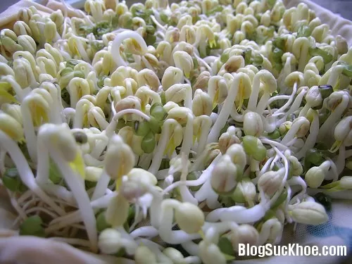 Phân biệt giá đỗ chứa hóa chất Trung Quốc