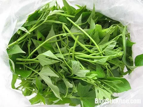 Rau khoai lang chữa bệnh đường tiêu hóa hiệu quả