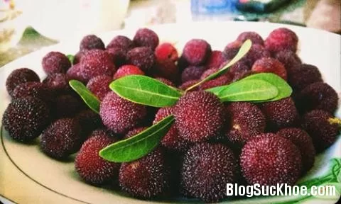 Công dụng nhiều người chuộng của quả thanh mai