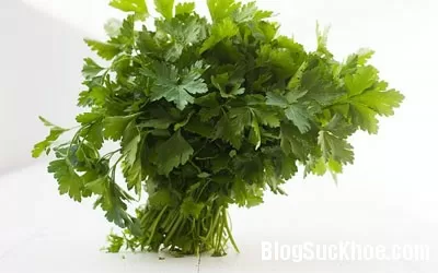 Các loại cây chữa bệnh bạn có thể tự trồng tại nhà