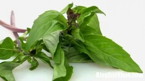 Cách trị nám da đơn giản chị em đều hài lòng