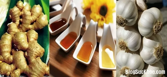 Loại "kháng sinh" tự nhiên còn tốt hơn thuốc