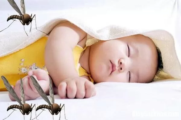 Mẹo đuổi muỗi hiệu quả không cần hóa chất