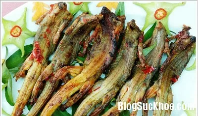 Món ăn, bài thuốc từ tắc kè giúp nam giới khỏe