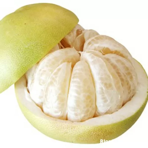 Ngừa và trị bách bệnh với bưởi