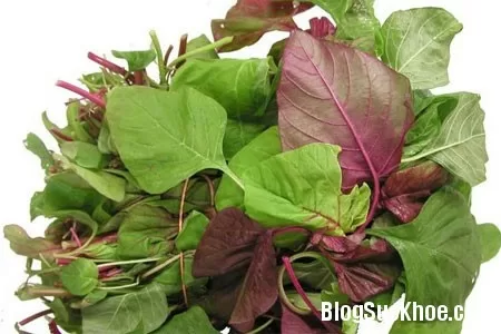 Rau dền chữa bệnh