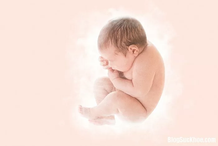 7 yếu tố quan trọng ảnh hưởng đến sự phát triển của bé từ trong bụng mẹ