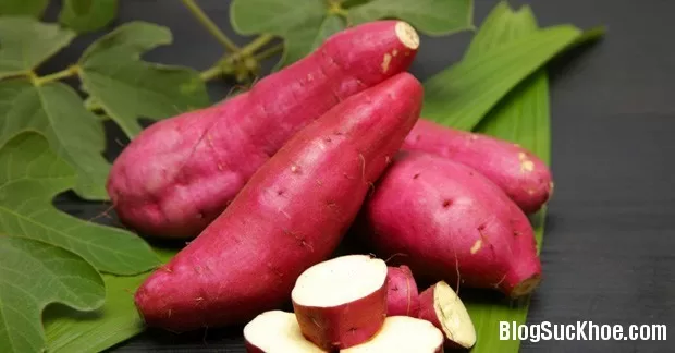 Những thực phẩm tốt nhất hành tinh ai cũng nên biết