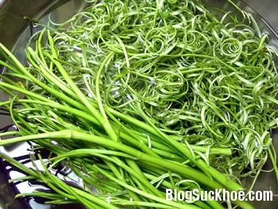Tác dụng hữu ích khi ăn rau muống