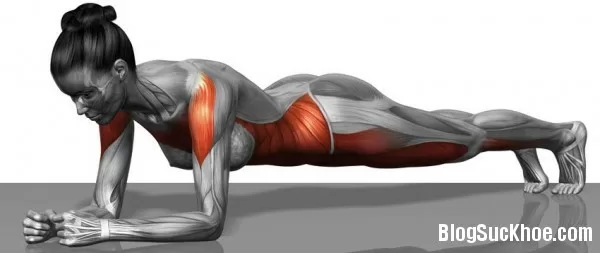 5 phút plank mỗi ngày cho vóc dáng chuẩn