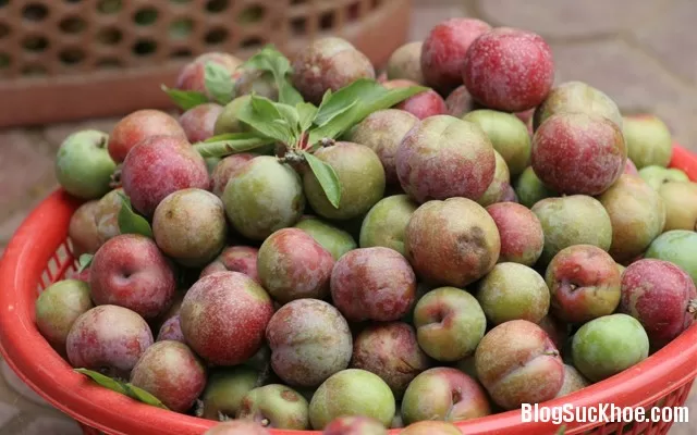Bài thuốc dùng mận chữa bệnh