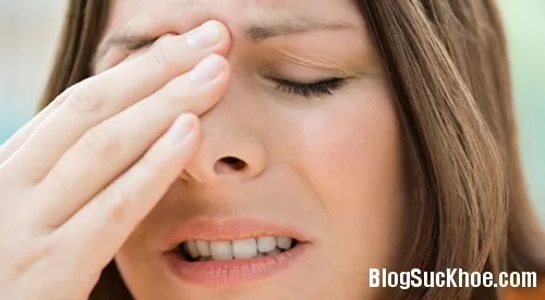 Loại cây rẻ tiền chữa dứt điểm viêm xoang