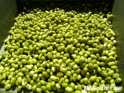 Ăn đậu xanh không nên vứt vỏ